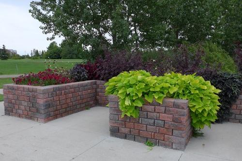 Accessible garden beds at the NDSU Horticulture Research & Demonstration Gardens.