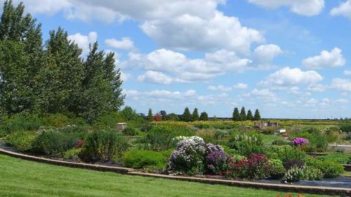 Plant beds at the NDSU Horticulture Research & Demonstration Gardens 